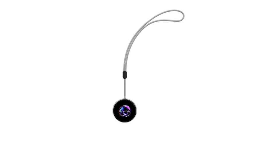 Lanyard