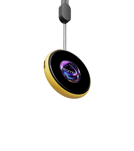 Niji E-Badge
